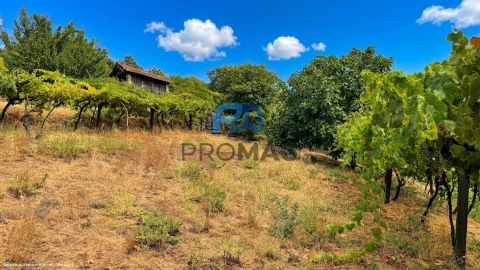 Terreno para Venda em Santa Marinha do Zezere