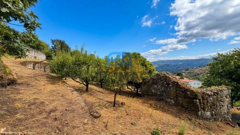 Terreno para Venda em Santa Marinha do Zezere