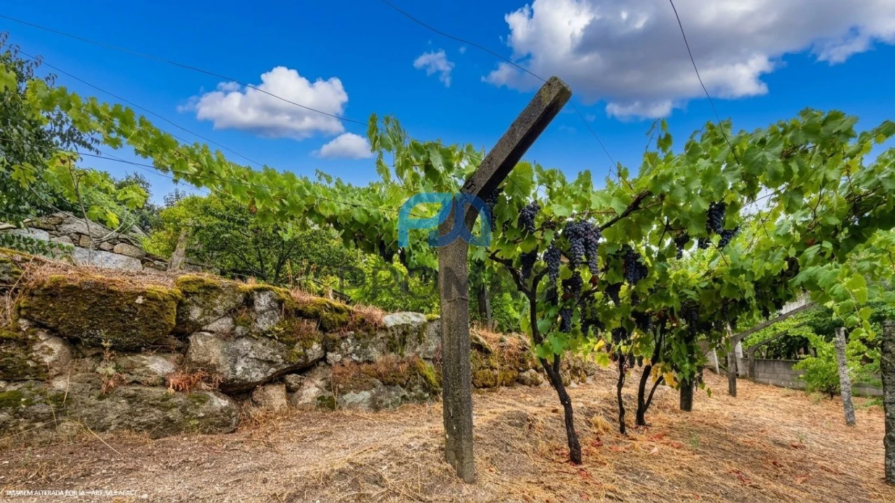 Terreno para Venda em Santa Marinha do Zezere Foto 35