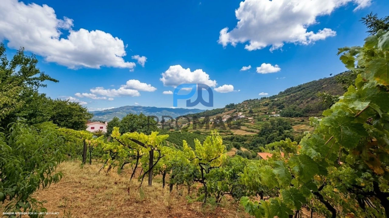 Terreno para Venda em Santa Marinha do Zezere Foto 28