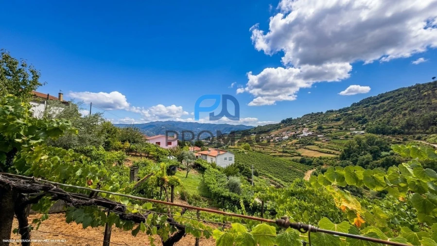 Terreno para Venda em Santa Marinha do Zezere Foto 29