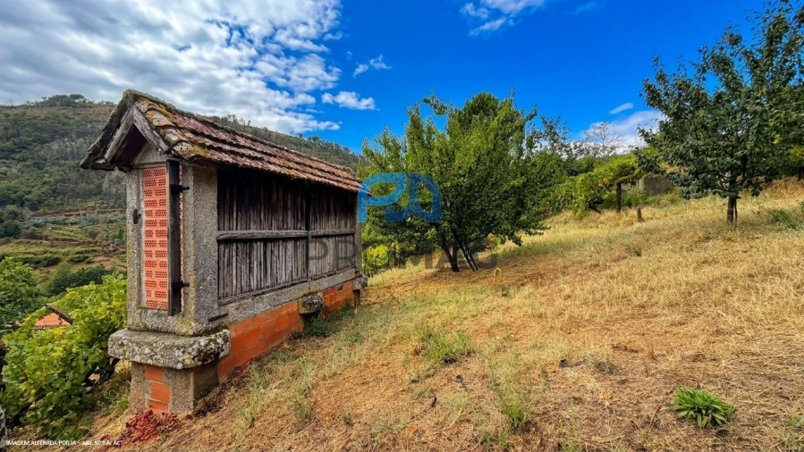 Terreno para Venda em Santa Marinha do Zezere Foto 19