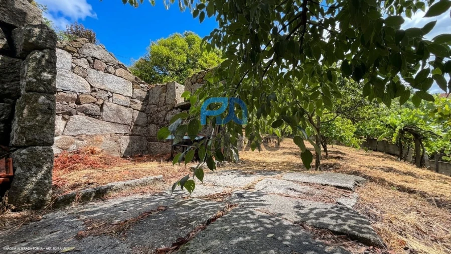 Terreno para Venda em Santa Marinha do Zezere Foto 24