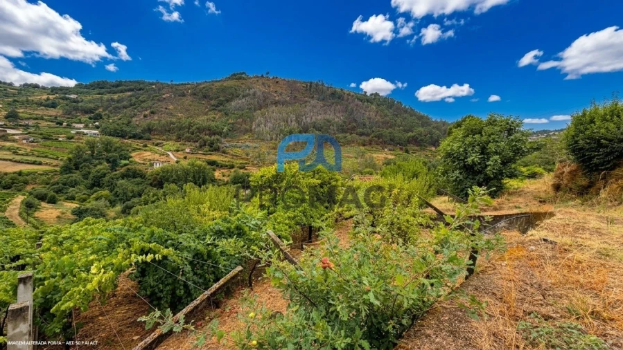 Terreno para Venda em Santa Marinha do Zezere Foto 8