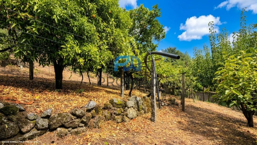 Terreno para Venda em Santa Marinha do Zezere Foto 38