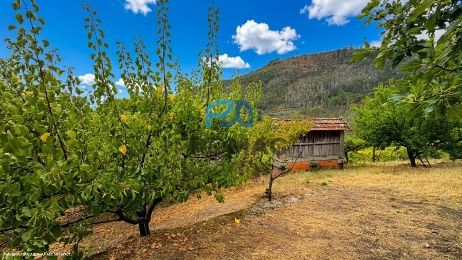 Terreno para Venda em Santa Marinha do Zezere Foto 13