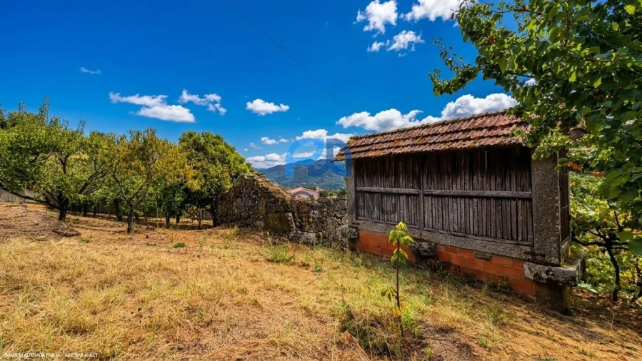 Terreno para Venda em Santa Marinha do Zezere Foto 17