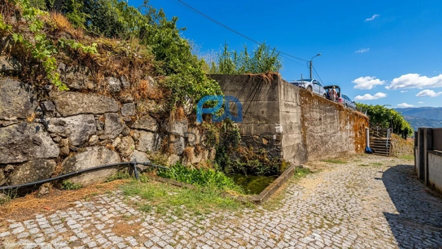 Terreno para Venda em Santa Marinha do Zezere Foto 6