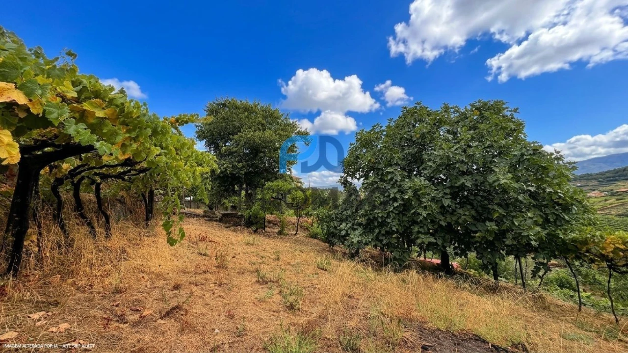 Terreno para Venda em Santa Marinha do Zezere Foto 40