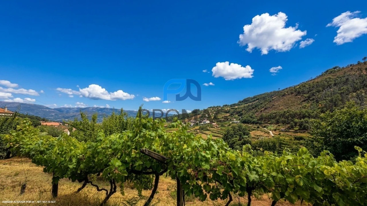 Terreno para Venda em Santa Marinha do Zezere Foto 27