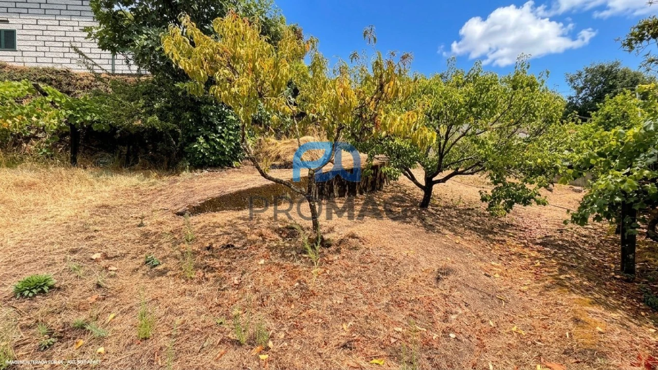 Terreno para Venda em Santa Marinha do Zezere Foto 12