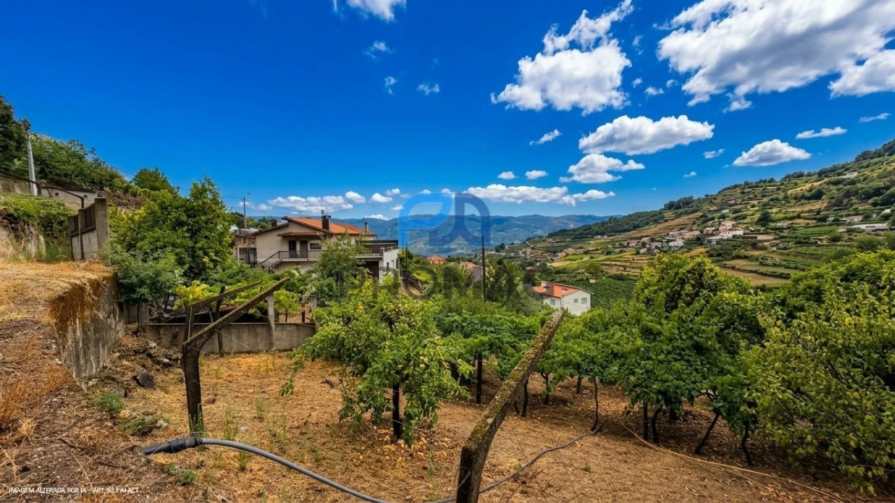 Terreno para Venda em Santa Marinha do Zezere Foto 10