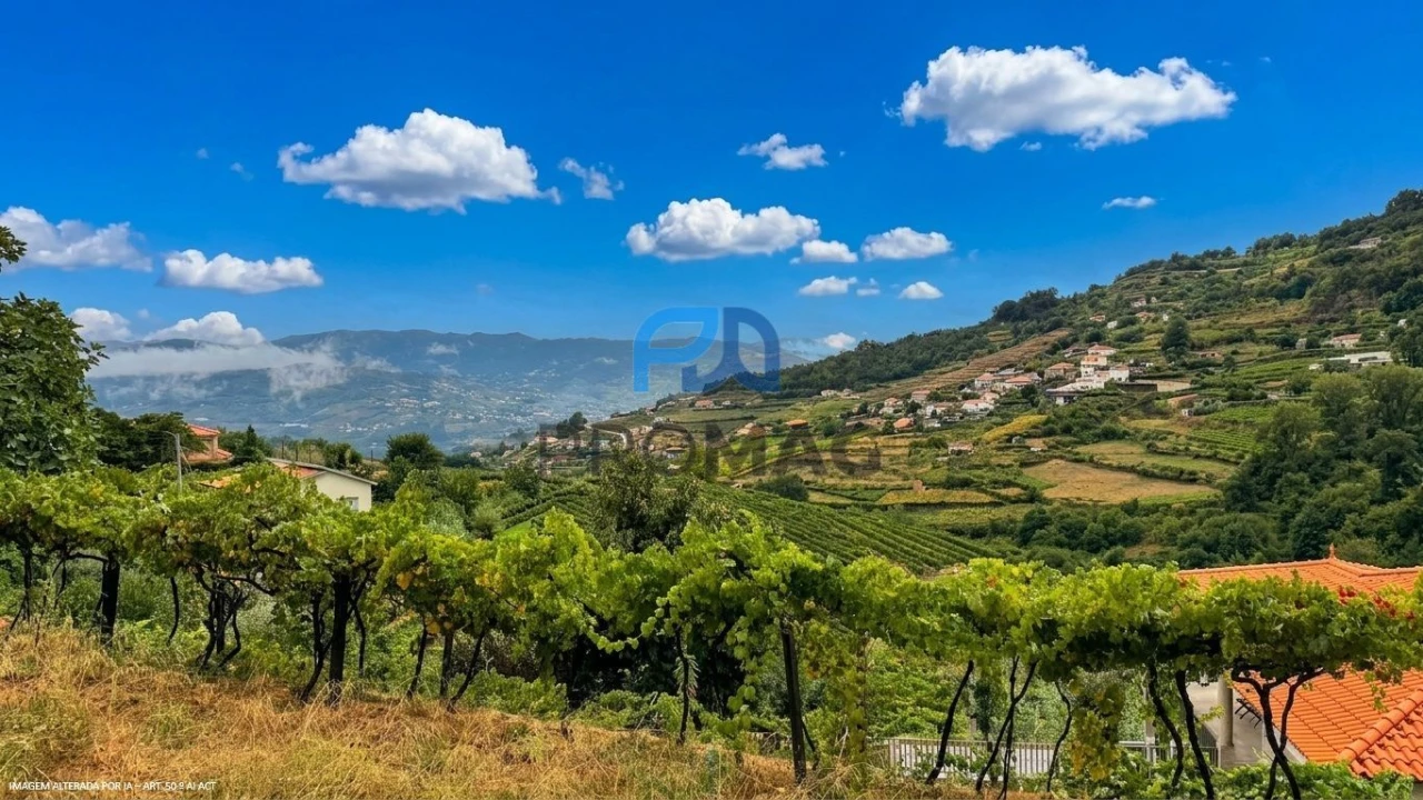 Terreno para Venda em Santa Marinha do Zezere Foto 15