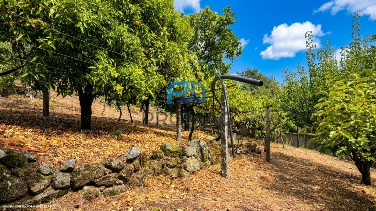 Terreno para Venda em Santa Marinha do Zezere Foto 38