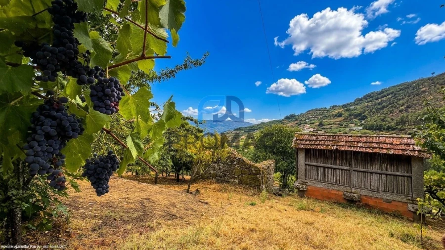 Terreno para Venda em Santa Marinha do Zezere