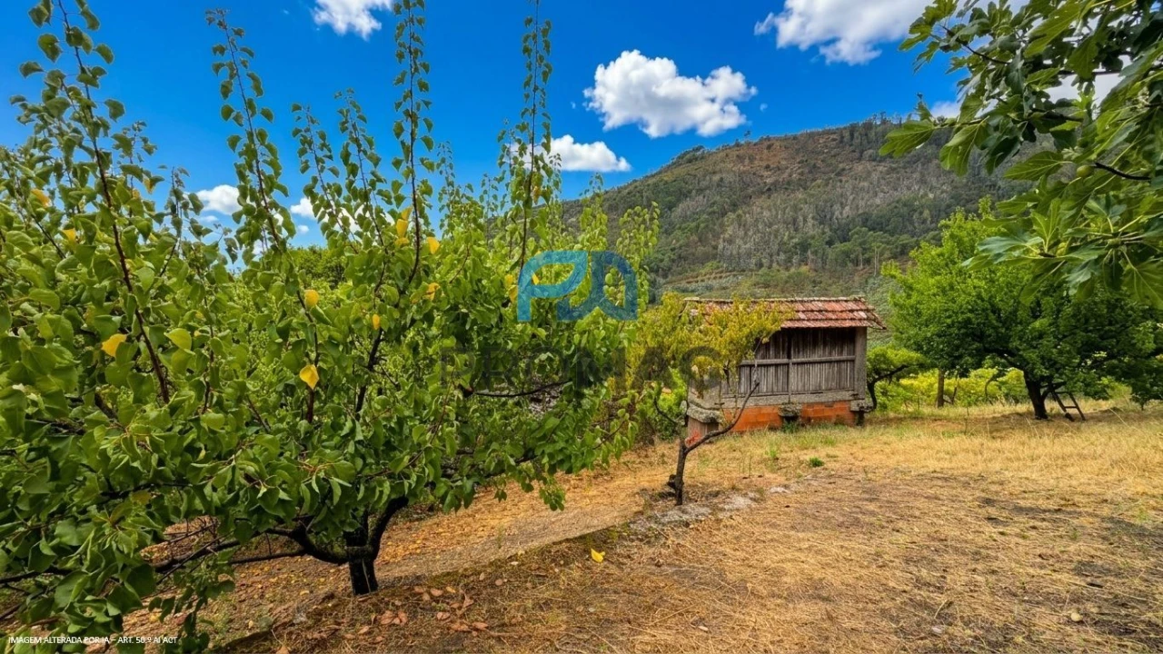 Terreno para Venda em Santa Marinha do Zezere Foto 13