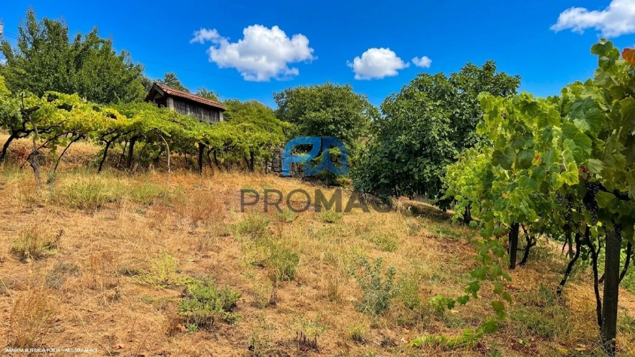 Terreno para Venda em Santa Marinha do Zezere Foto 41