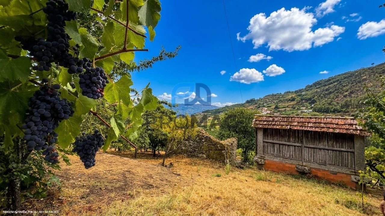 Terreno para Venda em Santa Marinha do Zezere Foto 16