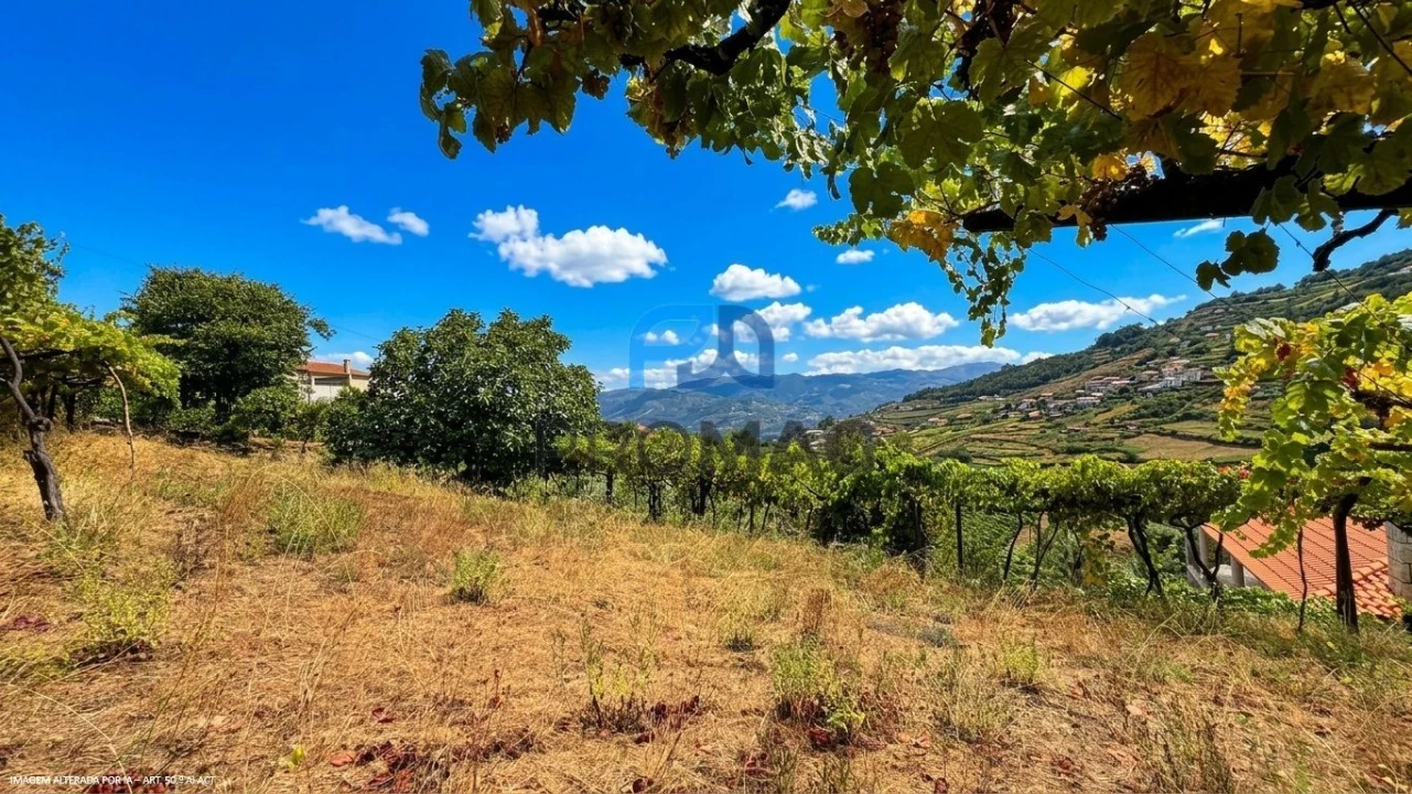 Terreno para Venda em Santa Marinha do Zezere Foto 39