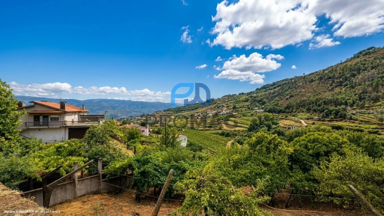 Terreno para Venda em Santa Marinha do Zezere Foto 9