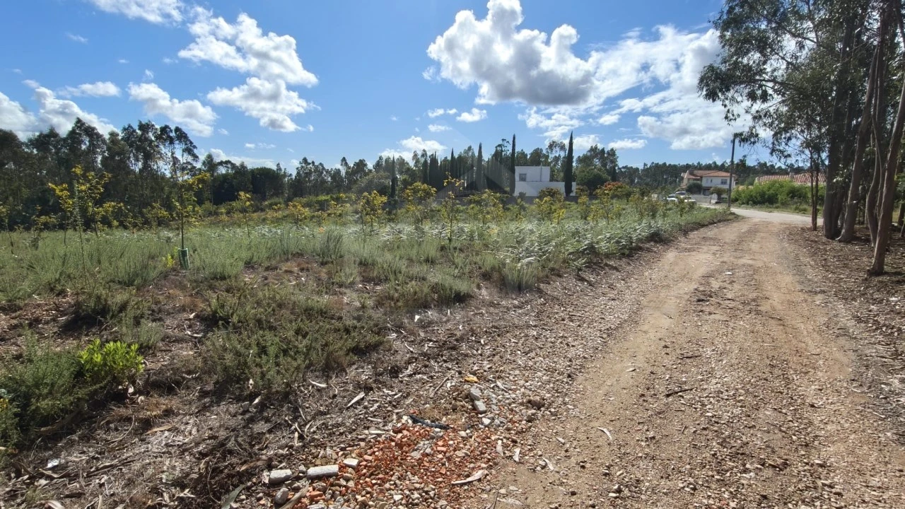 Terreno para Venda em Pinheiro da Bemposta, Travanca e Palmaz Foto 15