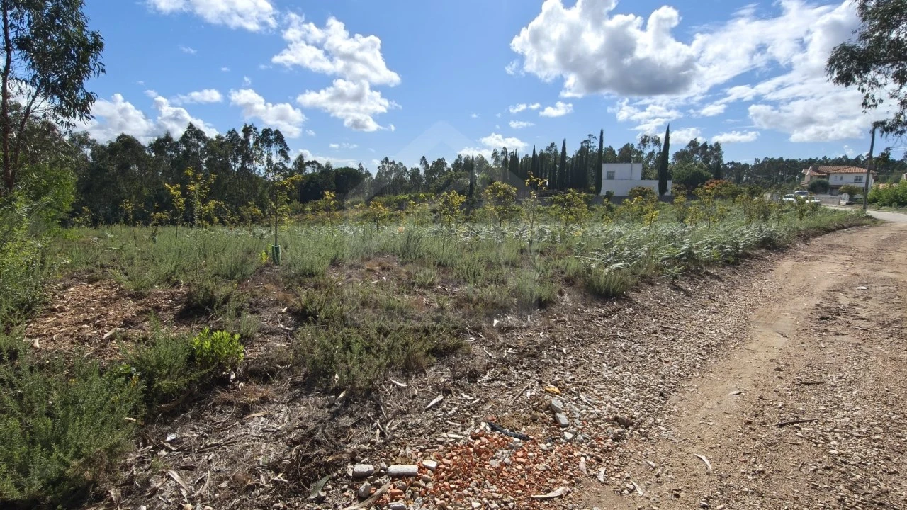Terreno para Venda em Pinheiro da Bemposta, Travanca e Palmaz Foto 16