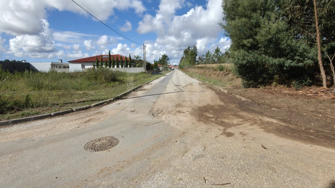 Terreno para Venda em Pinheiro da Bemposta, Travanca e Palmaz Foto 3