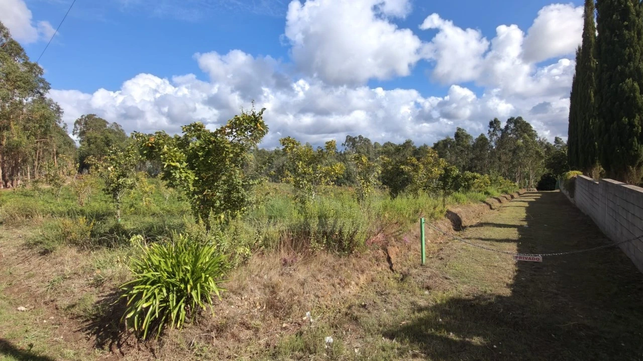 Terreno para Venda em Pinheiro da Bemposta, Travanca e Palmaz Foto 19