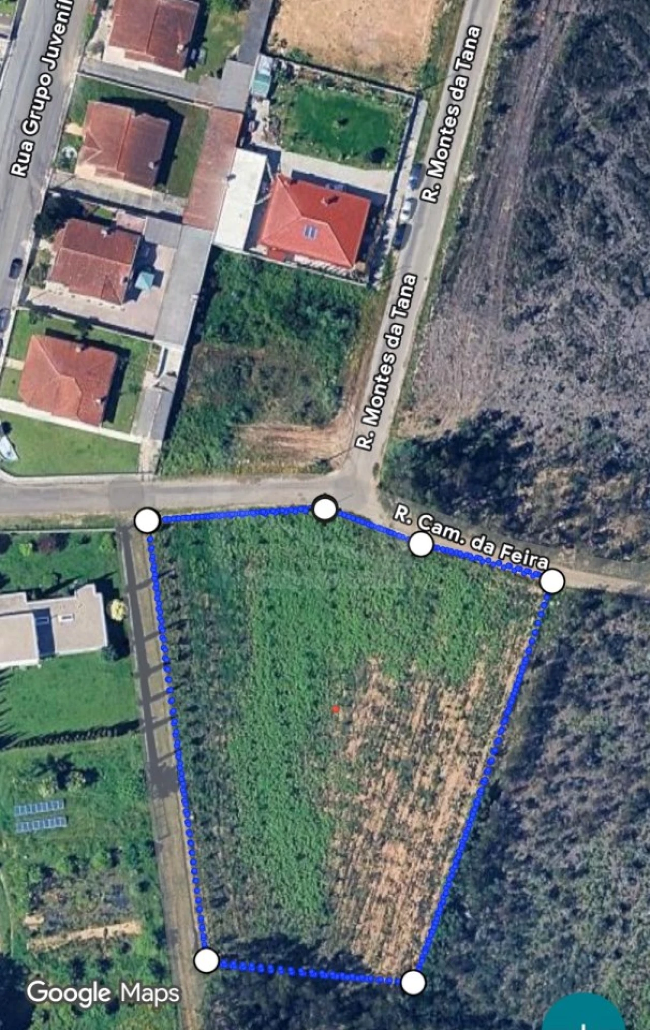 Terreno para Venda em Pinheiro da Bemposta, Travanca e Palmaz Foto 20