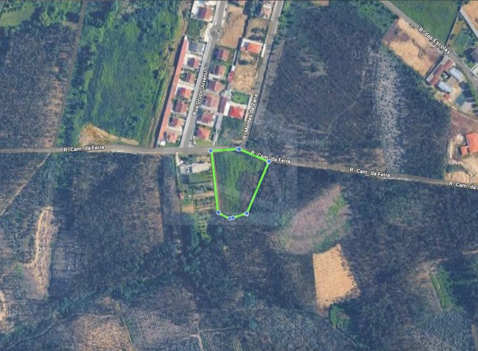 Terreno para Venda em Pinheiro da Bemposta, Travanca e Palmaz Foto 1