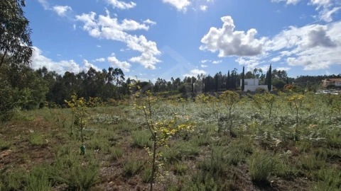 Terreno para Venda em Pinheiro da Bemposta, Travanca e Palmaz