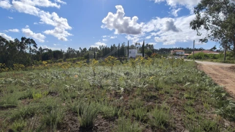 Terreno para Venda em Pinheiro da Bemposta, Travanca e Palmaz