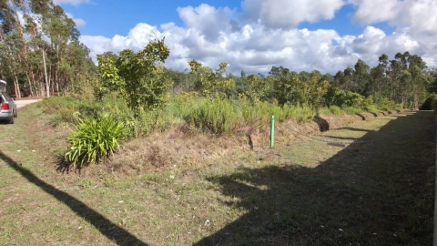 Terreno para Venda em Pinheiro da Bemposta, Travanca e Palmaz