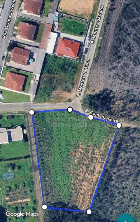 Terreno para Venda em Pinheiro da Bemposta, Travanca e Palmaz