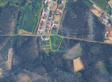 Terreno para Venda em Pinheiro da Bemposta, Travanca e Palmaz