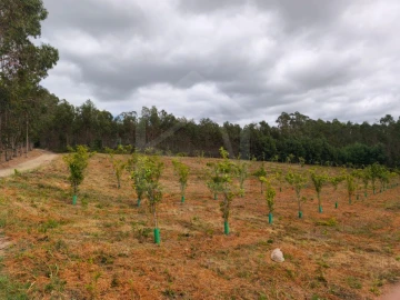 Terreno para Venda em Pinheiro da Bemposta, Travanca e Palmaz