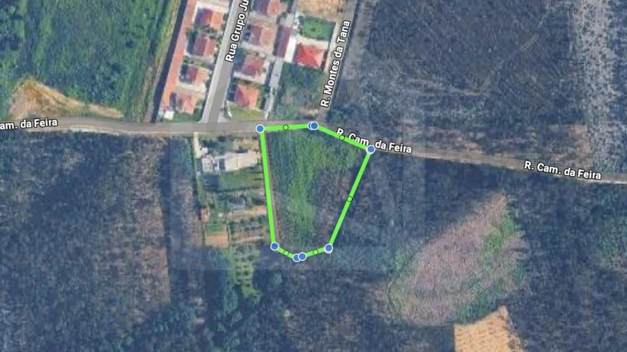 Terreno para Venda em Pinheiro da Bemposta, Travanca e Palmaz