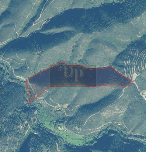 Terreno para Venda em Aguada de Cima