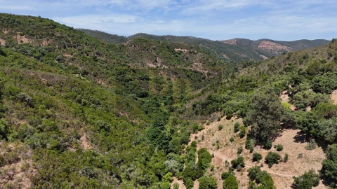 Terreno para Venda em Marmelete