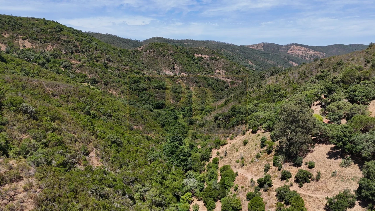 Terreno para Venda em Marmelete Foto 10