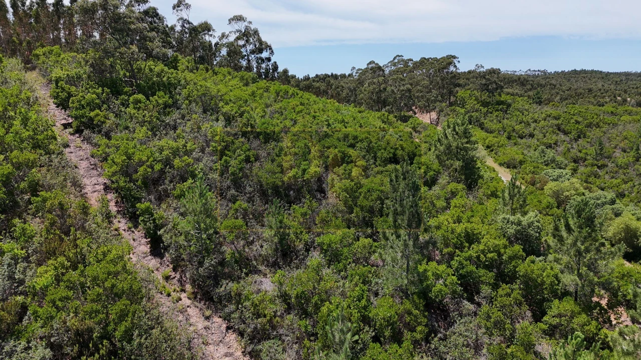 Terreno para Venda em Marmelete Foto 6
