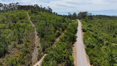 Terreno para Venda em Marmelete