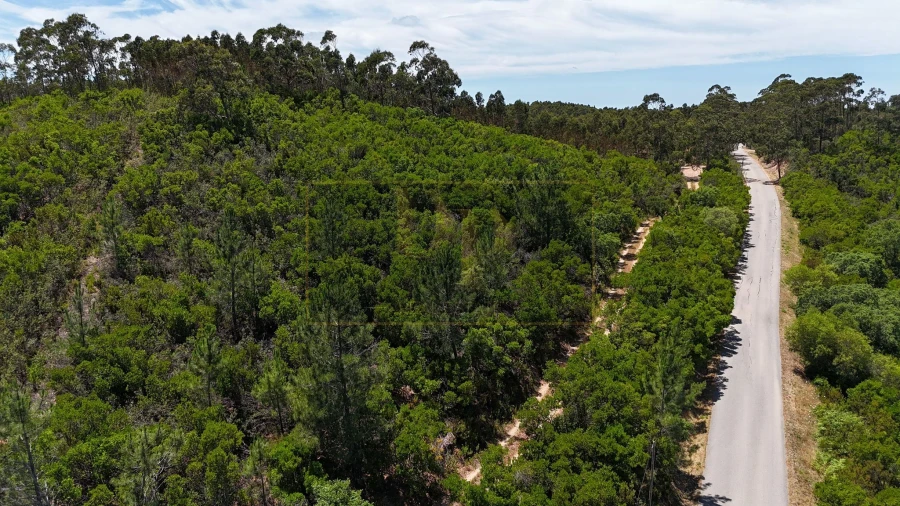 Terreno para Venda em Marmelete Foto 4