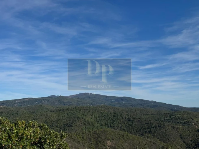 Terreno para Venda em Marmelete Foto 12