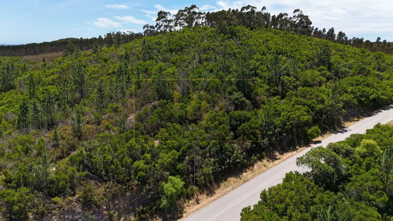 Terreno para Venda em Marmelete Foto 2