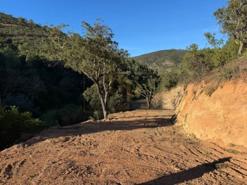 Terreno para Venda em Marmelete