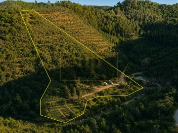 Terreno para Venda em Marmelete