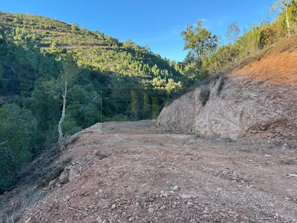 Terreno para Venda em Marmelete Foto 19
