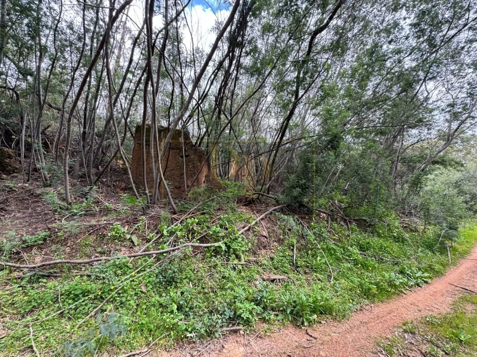 Terreno para Venda em Marmelete Foto 16