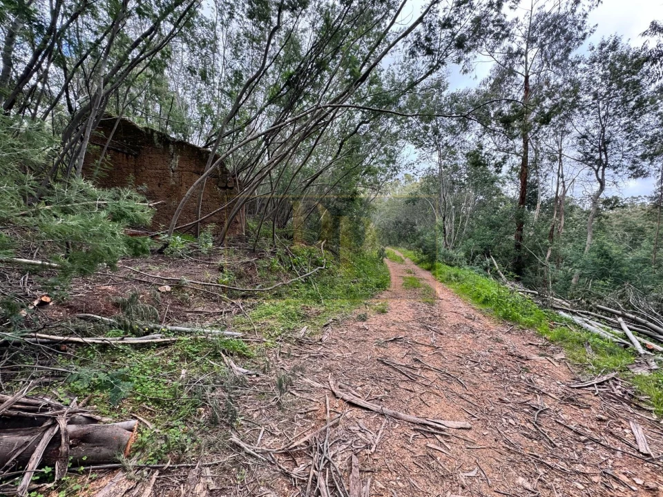 Terreno para Venda em Marmelete Foto 13